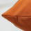 Ensemble de 2 housses de coussin en velours 50 x 50 cm 5