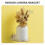 Floating Wall Camera Holder Plastic Router Shelf for Display 4