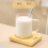 Mokverwarmer met dubbele temperatuurregeling, USB-voeding, 220V 6