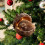 Skogsdyr Eikenøtt Ornament Akryl2D Hengende 4