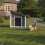 Cușcă pentru câini cu acoperiș pliabil și rezistent la intemperii 2