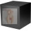 Realistic Male Torso Premium Stamina Trainer Cup 5