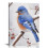Blue Bird Canvas Wall Art 12x16 in 1