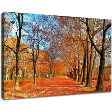Autumn Maple Grove Canvas Wall Art 12x18 in