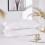 Cool-Touch Pillowcase Breathable Hypoallergenic 20x30in 5