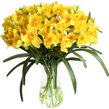 Sklenená váza s 10 tulipánmi z umelého hodvábu