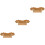3Pcs Pipa Bridge Tailpiece Bamboo Handmade Durable Khaki Replacement 4