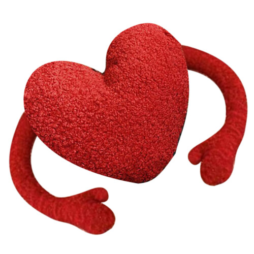 Red Heart Plush Pillow300g 1