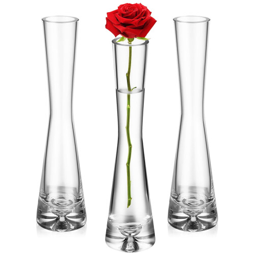 Transparent Glass Bud Vase – Minimalist Single-Stem,
