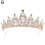 Fascia per capelli da donna con tiara e strass 1