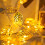 40 LED Gold Metal Leaf String Lights, 19.7 ft, 3