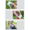 Stainless Steel Card Bottle Opener12Pack 7