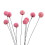 Billy Ball Dried Flower Decor – White, Pink, Red, Yellow, 1
