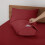 Queen Sheet Set Microfiber 4-Piece Ivory 4