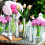 Transparent Glass Bud Vase – Minimalist Single-Stem, 2
