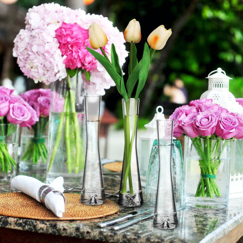 Transparent Glass Bud Vase – Minimalist Single-Stem, 1