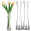 Transparent Glass Bud Vase – Minimalist Single-Stem, 3