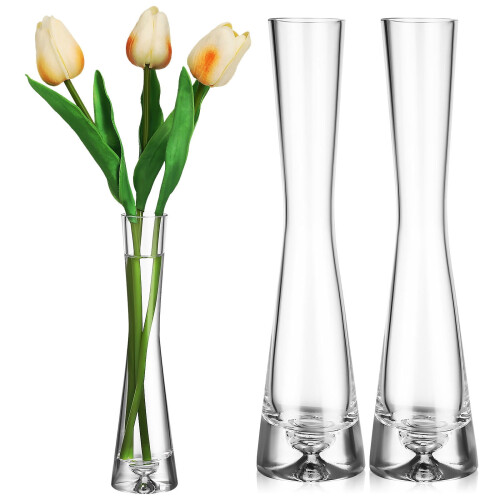 Transparent Glass Bud Vase – Minimalist Single-Stem, 2