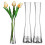 Transparent Glass Bud Vase – Minimalist Single-Stem, 4