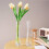 Transparent Glass Bud Vase – Minimalist Single-Stem, 5