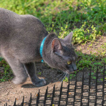 Set van 6 kattenwerende matten met spikes voor gebruik in de tuin