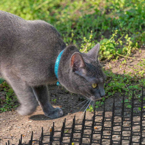 Katzenabwehr-Spikematten, 6er-Set für den Garten 1