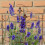 Plant Support Stakes, 2-Piece Iron Fleur-de-Lis Design 2