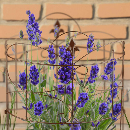 Plant Support Stakes, 2-Piece Iron Fleur-de-Lis Design 1