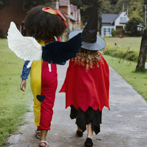 Feather Angel Wings65x30cm2-Pack with Elastic Straps 1