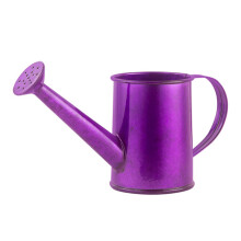 Bocal de irrigação ajustável para jardim, 1 litro.