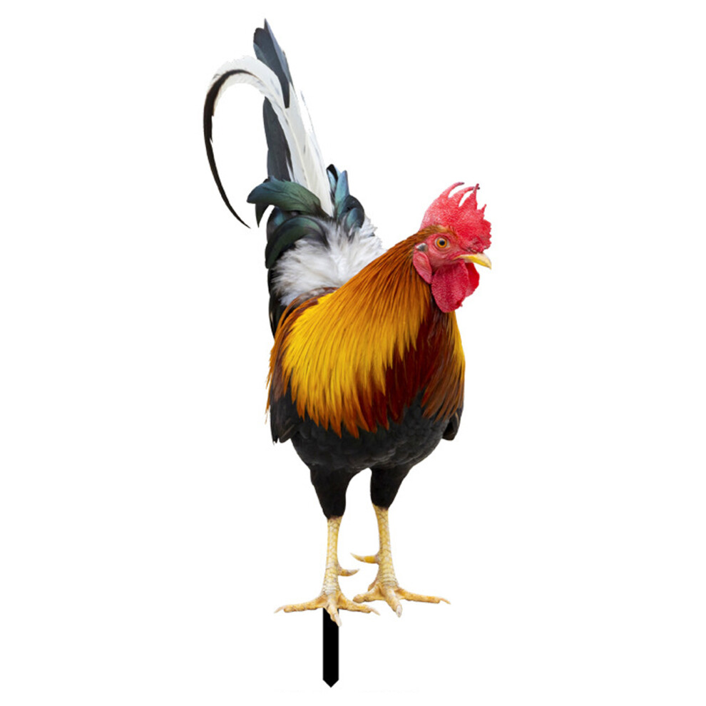 Acrylic Rooster Yard Decor25x11cm & 21x17cm