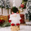 Christmas Gnome Decor with Heavy Base, 25cm & 19cm 5