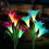Solar Lily Flower Stake Lights 2 Pack Blue Purple 1