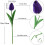 10 kpl violetteja tekotulppaaneja PU33cm 4