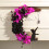 Halloween Moon Cat Wreath33x28cm Plastic 4