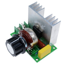 220V 4000W SCR Elektronische spanningsregelaar Snelheidsregelaar