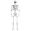 165cm Plastic Halloween Skeleton Decoration 1