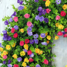 Artificial Spring Wreath with Buttercups & Eucalyptus