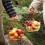 Coș de fructe din plastic alimentar 22x21x11cm 3