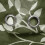 Dark Green Leaf Print Sheer Curtains, 63" L, 2 Panels 5