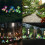 Solar Lily Flower Stake Lights 2 Pack Blue Purple 4