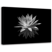 Impression sur toile Lotus blanc Art floral zen 8x10 pouces