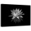 White Lotus Canvas Wall Art 8 x 10 in 1