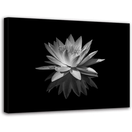 White Lotus Canvas Wall Art 8 x 10 in