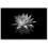 White Lotus Canvas Wall Art 8 x 10 in 2