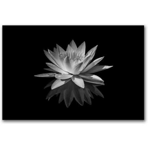 White Lotus Canvas Wall Art 8 x 10 in 1