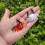 Soft Jig Head Lures Artificial Swimbait-Coffee color large 6