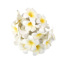 Cherry Blossom LED String Lights Warm White2m or3m