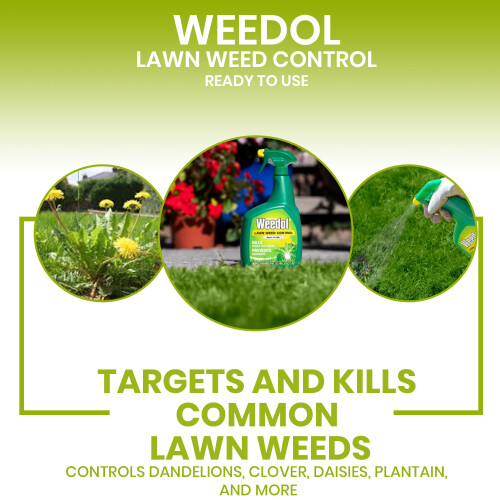 Weedol Weedol Lawn Weed Control Ready to Use Non Clopyralid 1L 2