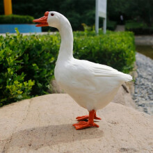 White Animal Sculpture for Patio & Indoor Decoration